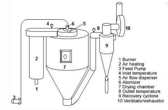 Basic Introduction to Drying Process